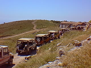 0617_029.jpg (25043 bytes)