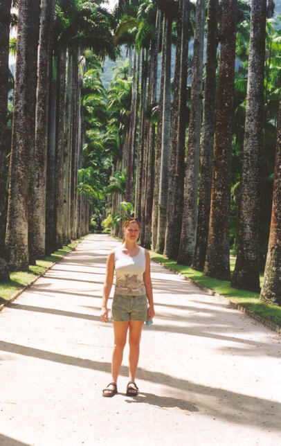 riopalms.jpg (69216 bytes)