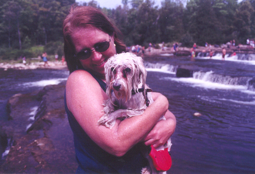 falls.jpg (110671 bytes)